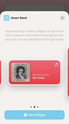 Slide your finger right or left on the screen to select the required widget size. Slide your finger right or left on the screen to select the required widget size.