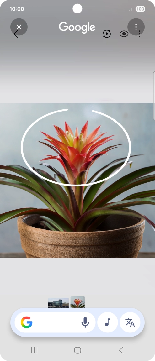 Draw a circle around the required object on the picture and wait for the search results. Draw a circle around the required object on the picture and wait for the search results.