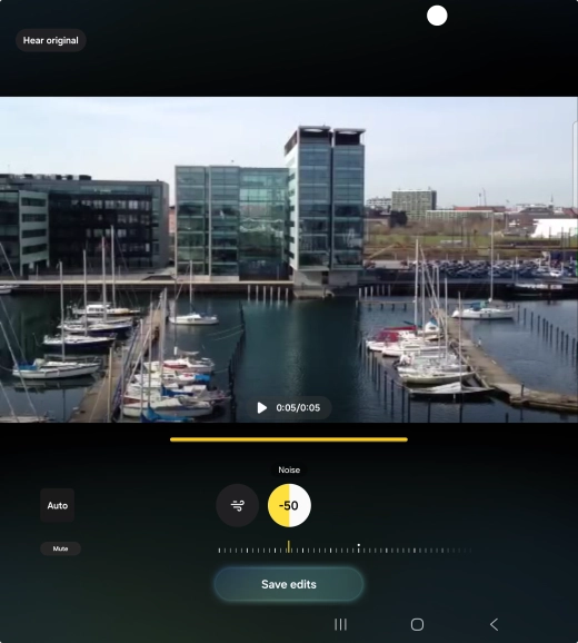 Press Mute to completely remove the selected audio type from the video. Press Mute to completely remove the selected audio type from the video.