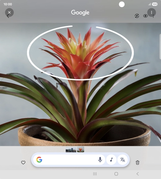 Draw a circle around the required object on the picture and wait for the search results. Draw a circle around the required object on the picture and wait for the search results.