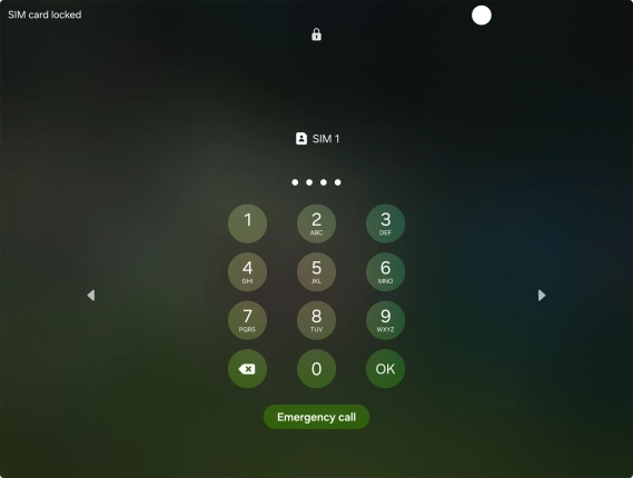 If you're asked to key in your PIN, do so and press OK. The default PIN is 1111. If you're asked to key in your PIN, do so and press OK. The default PIN is 1111.