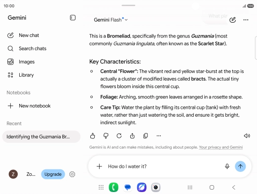 Follow the instructions on the screen to type or speak more questions to continue the conversation. Follow the instructions on the screen to type or speak more questions to continue the conversation.