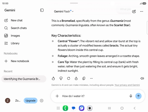 Follow the instructions on the screen to type or speak more questions to continue the conversation. Follow the instructions on the screen to type or speak more questions to continue the conversation.