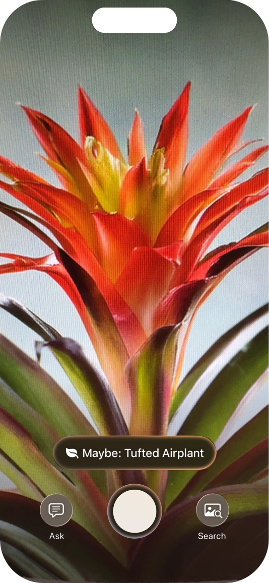 For information about animals and plants, press the information field. For information about animals and plants, press the information field.