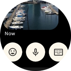 Press the microphone icon and follow the instructions on the screen to record and send the required reply. Press the microphone icon and follow the instructions on the screen to record and send the required reply.