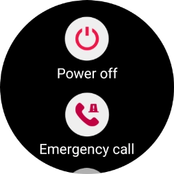 Press Power off. Press Power off.