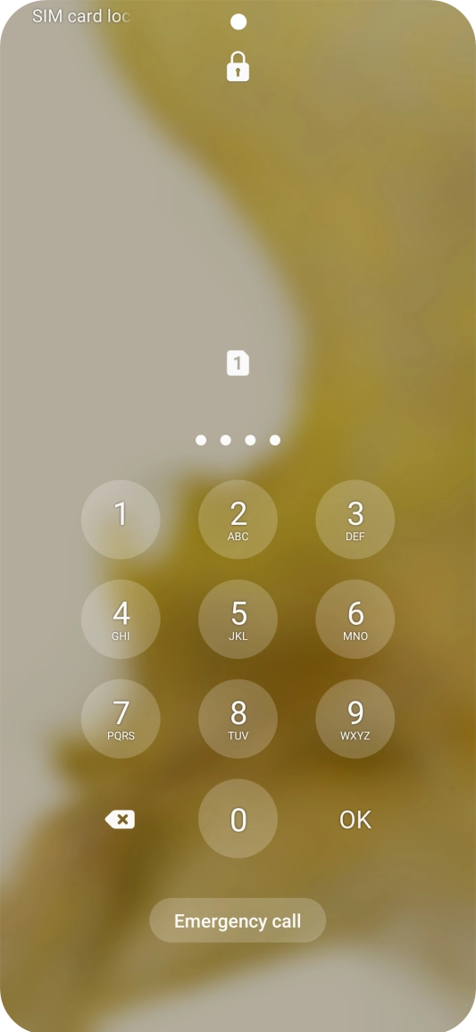 If you're asked to key in your PIN, do so and press OK. The default PIN is 1111. If you're asked to key in your PIN, do so and press OK. The default PIN is 1111.