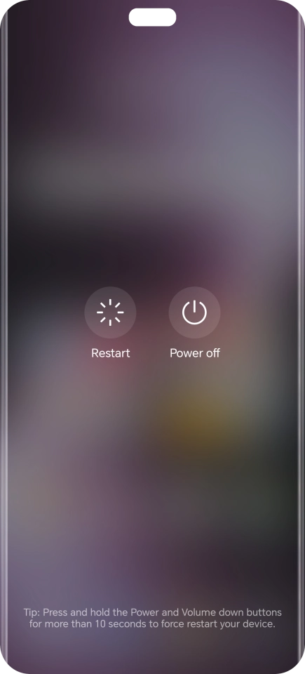 Press Power off. Press Power off.