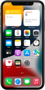 Apple iPhone X