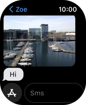 Press SMS. Press SMS.