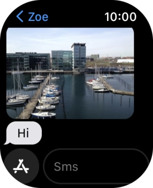 Press SMS. Press SMS.