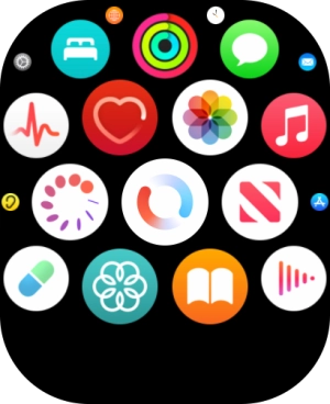 Press the heart rate sensor icon. Press the heart rate sensor icon.