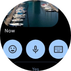 Press the microphone icon. Press the microphone icon.