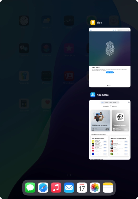 Slide upwards on the required application to end it. Slide upwards on the required application to end it.