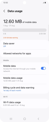 The total data usage is displayed. The total data usage is displayed.