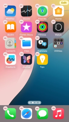 Press the home screen icon. Press the home screen icon.