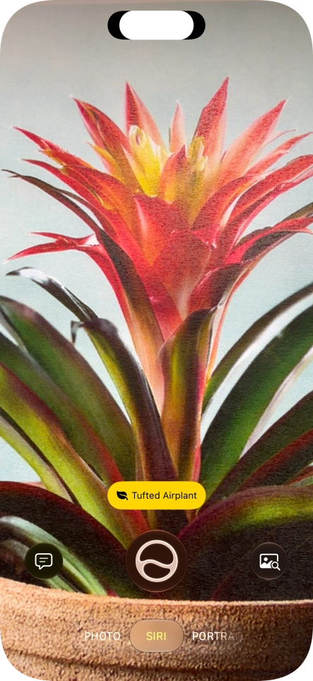 For information about animals and plants, press the information field. For information about animals and plants, press the information field.