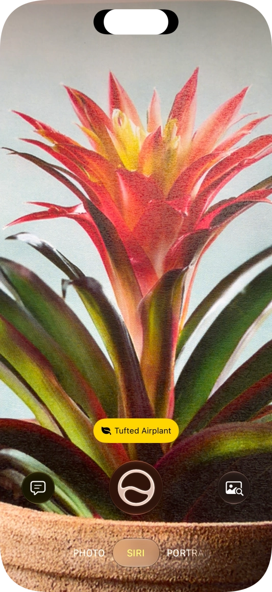 For information about animals and plants, press the information field. For information about animals and plants, press the information field.