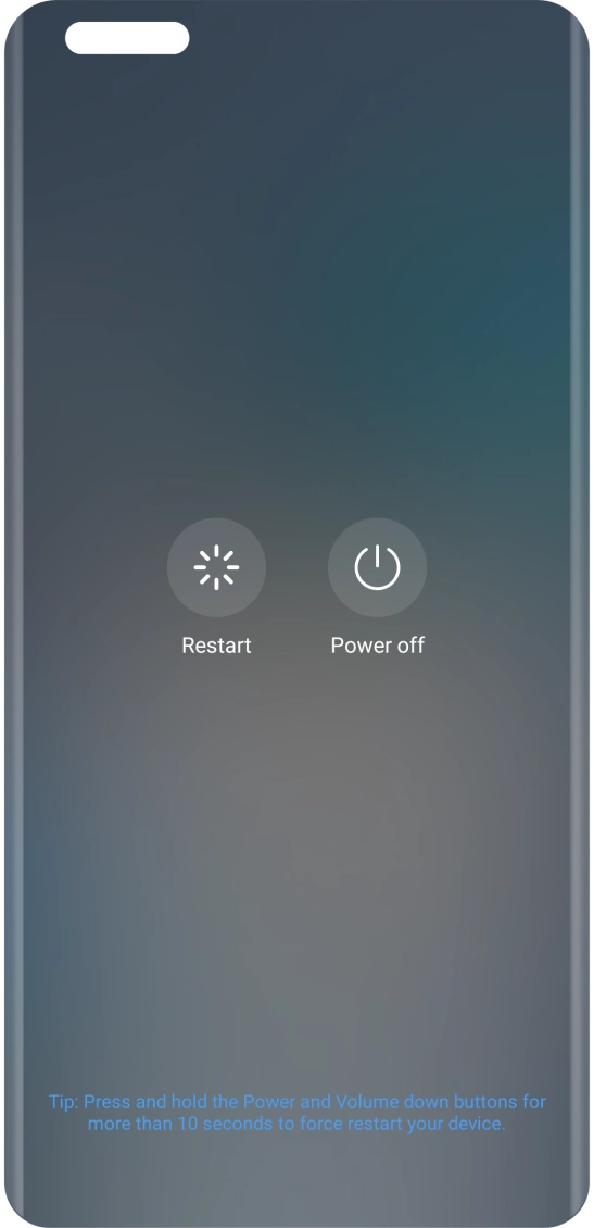 Press Power off. Press Power off.
