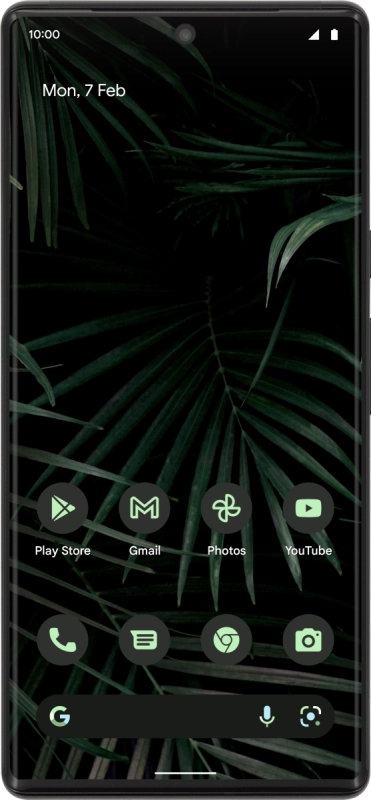 Google Pixel 6 Pro Google Pixel 6 Pro