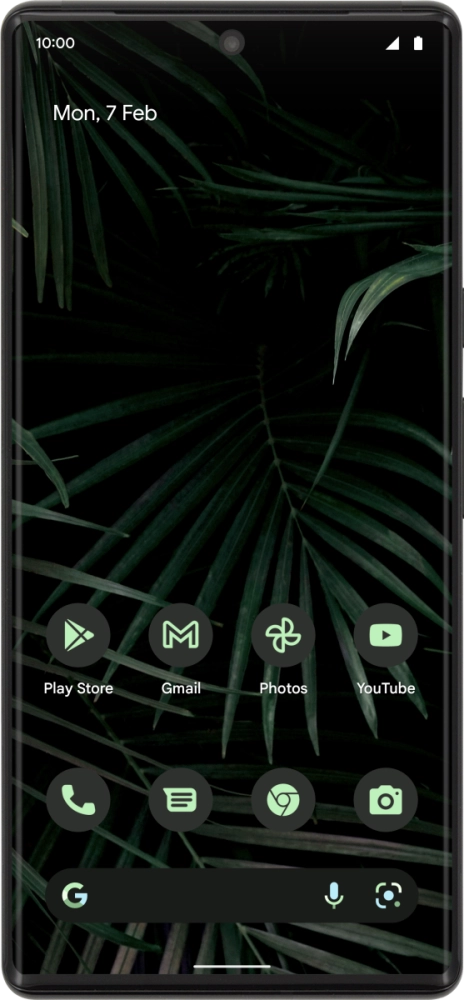 Google Pixel 6 Pro Google Pixel 6 Pro