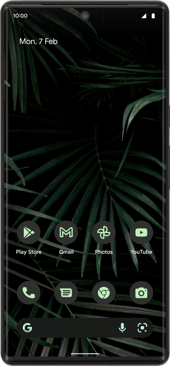 Google Pixel 6 Pro Google Pixel 6 Pro