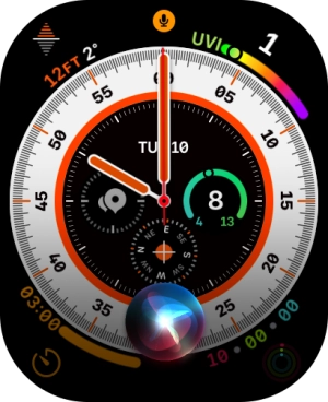 Say, in your own words, what you would like your Apple Watch to do. Say, in your own words, what you would like your Apple Watch to do.