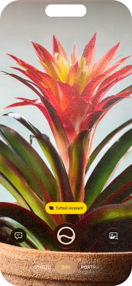 For information about animals and plants, press the information field. For information about animals and plants, press the information field.