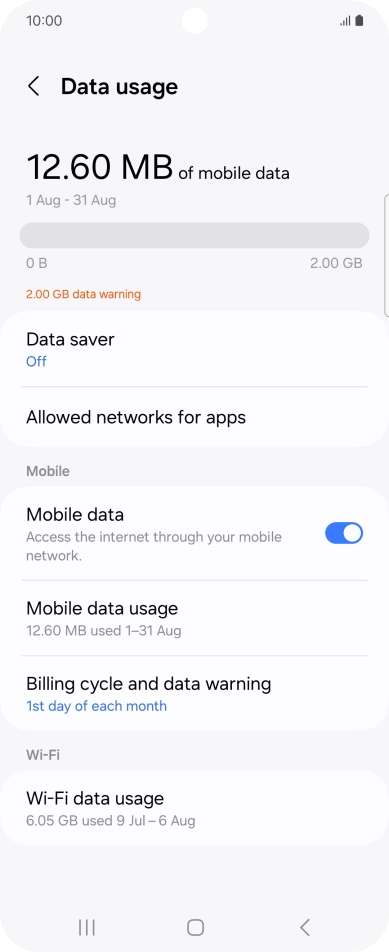 The total data usage is displayed. The total data usage is displayed.