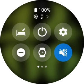 Press the suppression of calls and notifications icon to turn the function on or off. Press the suppression of calls and notifications icon to turn the function on or off.