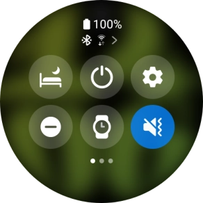Press the suppression of calls and notifications icon to turn the function on or off. Press the suppression of calls and notifications icon to turn the function on or off.