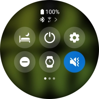 Press the suppression of calls and notifications icon to turn the function on or off. Press the suppression of calls and notifications icon to turn the function on or off.
