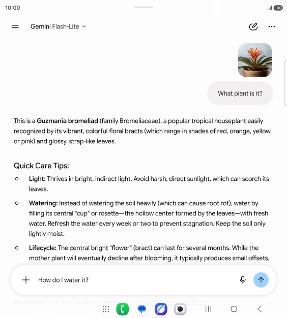 Follow the instructions on the screen to type or speak more questions to continue the conversation. Follow the instructions on the screen to type or speak more questions to continue the conversation.