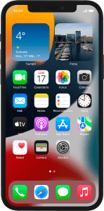 Apple iPhone 12