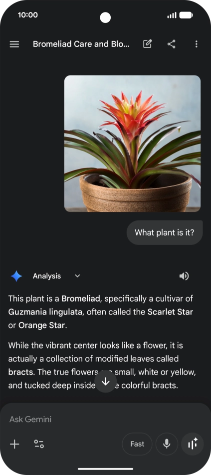 Follow the instructions on the screen to type or speak the required question. You can also attach pictures or documents and ask questions to them. Follow the instructions on the screen to type or speak the required question. You can also attach pictures or documents and ask questions to them.