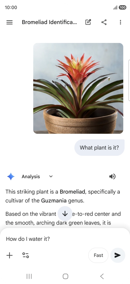 Follow the instructions on the screen to type or speak more questions to continue the conversation. Follow the instructions on the screen to type or speak more questions to continue the conversation.