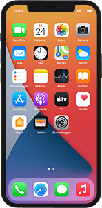Apple iPhone 12 (iOS 14) Apple iPhone 12 (iOS 14)