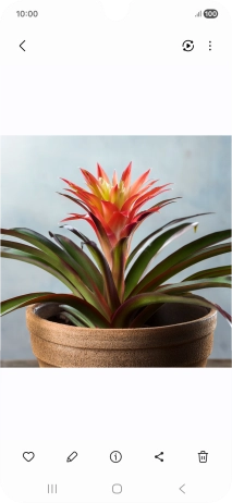 Go to the required picture. Go to the required picture.