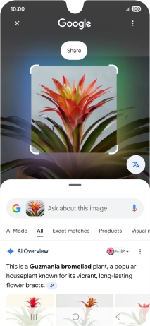 Follow the instructions on the screen to use the search results. Follow the instructions on the screen to use the search results.