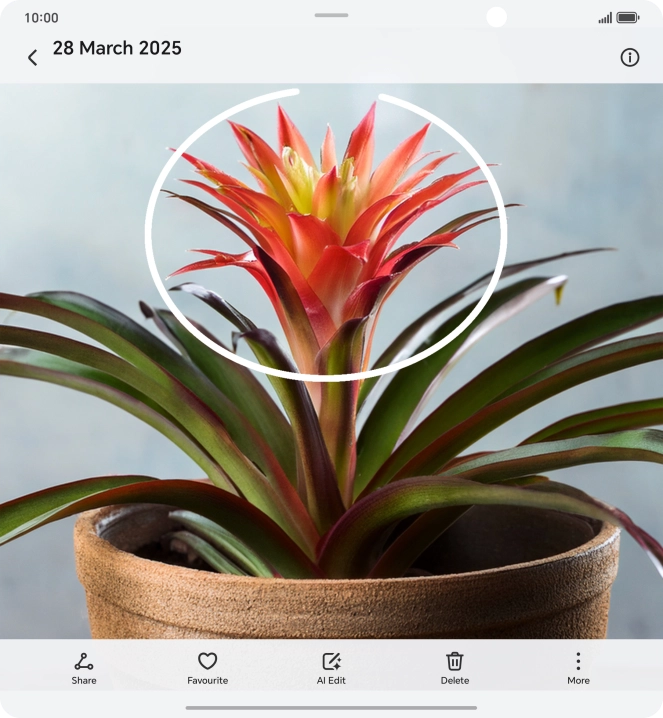 Draw a circle around the required object on the picture using your knuckle. Draw a circle around the required object on the picture using your knuckle.