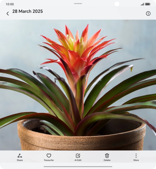 Go to the required picture. Go to the required picture.