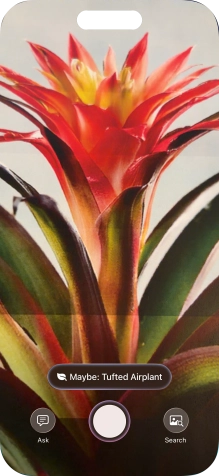 For information about animals and plants, press the information field. For information about animals and plants, press the information field.