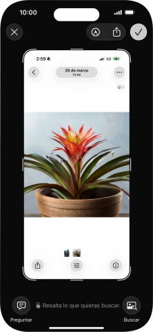 Para utilizar la inteligencia visual mediante un pantallazo, haz un pantallazo y sigue las indicaciones de la pantalla para utilizar la función. Para utilizar la inteligencia visual mediante un pantallazo, haz un pantallazo y sigue las indicaciones de la pantalla para utilizar la función.