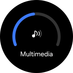 Desliza el dedo por el círculo para seleccionar el volumen deseado. Desliza el dedo por el círculo para seleccionar el volumen deseado.