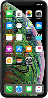 Apple iPhone Xs Max iOS 12