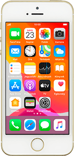 Apple iPhone SE iOS 13 Apple iPhone SE iOS 13