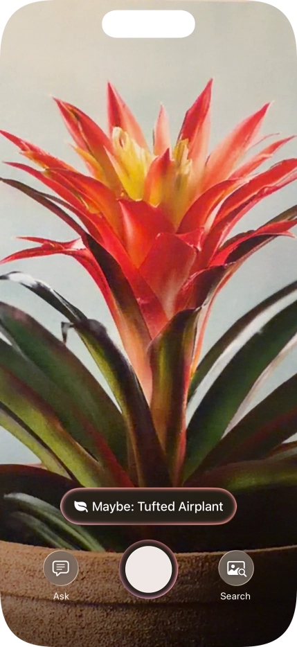 For information about animals and plants, press the information field. For information about animals and plants, press the information field.