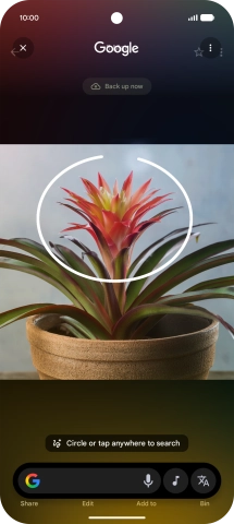 Draw a circle around the required object on the picture and wait for the search results. Draw a circle around the required object on the picture and wait for the search results.