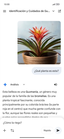 Sigue las indicaciones de la pantalla para escribir o decir en alto más preguntas y continuar la conversación. Sigue las indicaciones de la pantalla para escribir o decir en alto más preguntas y continuar la conversación.