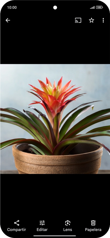 Desplázate a la fotografía deseada. Desplázate a la fotografía deseada.